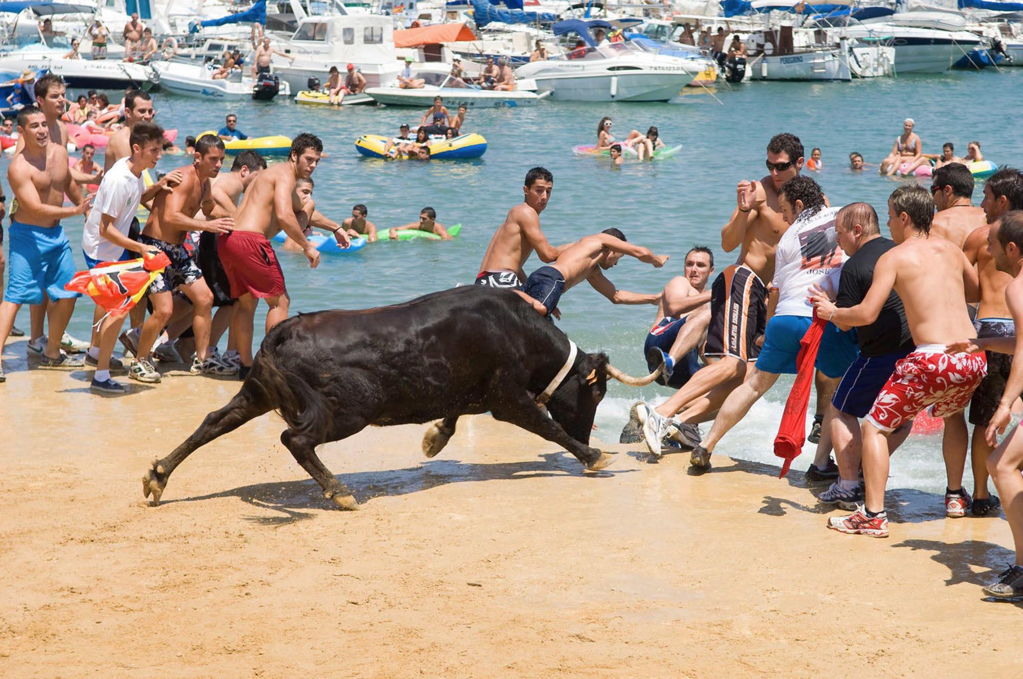 bous a la mar Denia